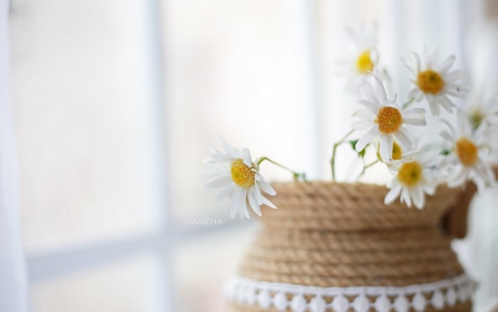 White daisies in a jute basket
