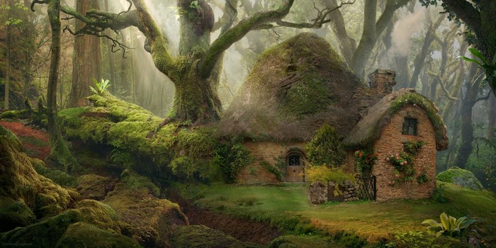 Enchanted Forest Cottage in Mystic Woodland