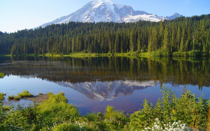Mount Rainier reflected in a lake with pine forest