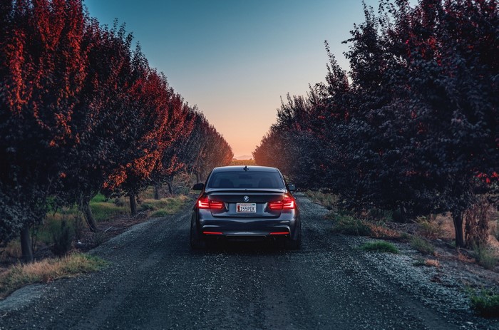 BMW 4 Series driving on a road lined with trees at sunset