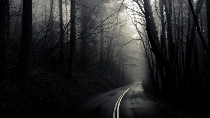 A winding road through a dark, misty forest