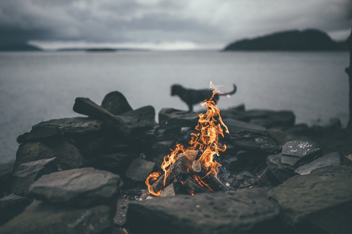 Dog by a campfire on a rocky shore