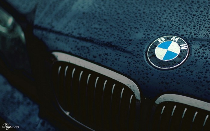 BMW logo on a wet car hood