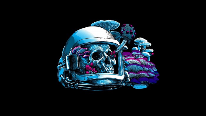 Astronaut skull with mushrooms illustration