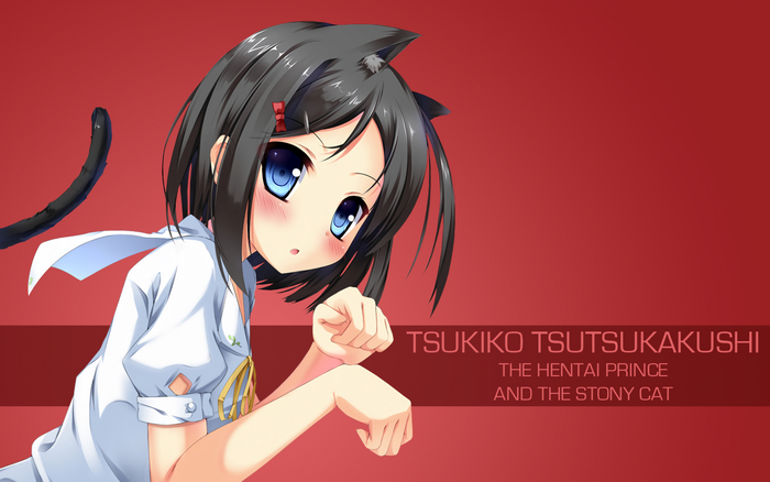 Tsukiko Tsutsukakushi from The Hentai Prince and the Stony Cat
