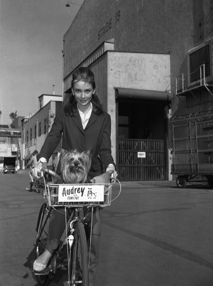 Audrey Hepburn with her dog on a bicycle