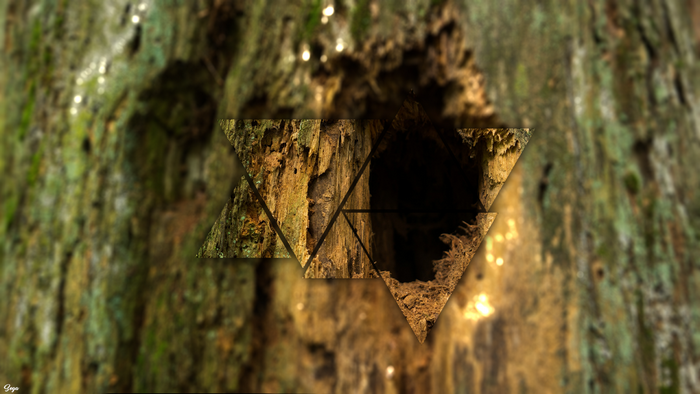 Abstract geometric overlay on tree bark texture