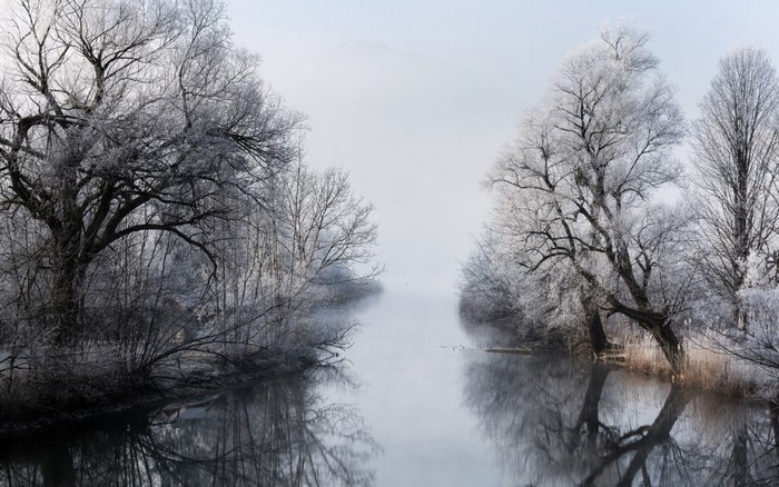 Winter landscape with frosted trees and a river