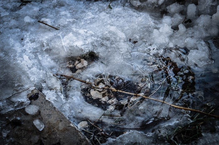 Close-up of ice and water with rocks and branches