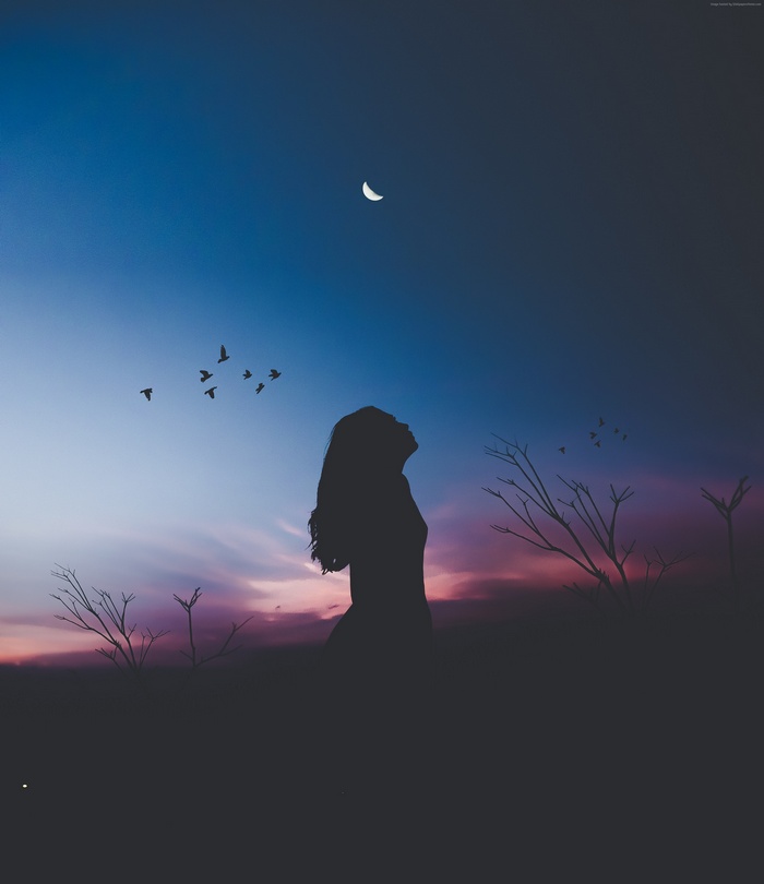 Silhouette of a girl looking at the moon and birds
