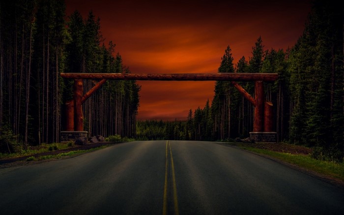 Road through forest under red sky
