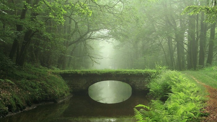 Stone bridge over a stream in a misty forest