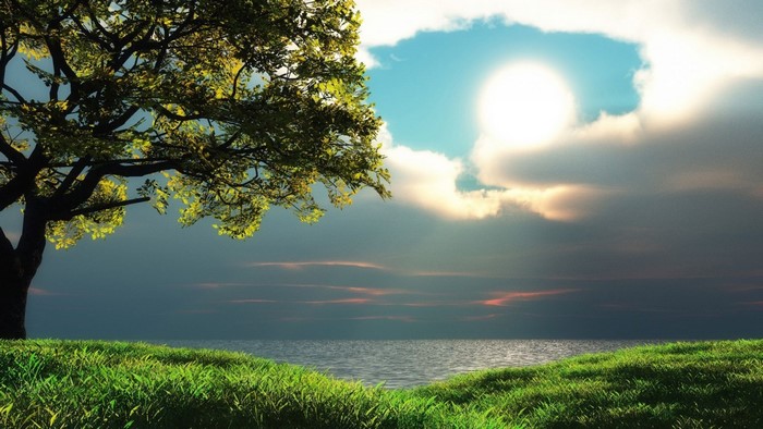 Serene Sunlit Meadow by the Ocean