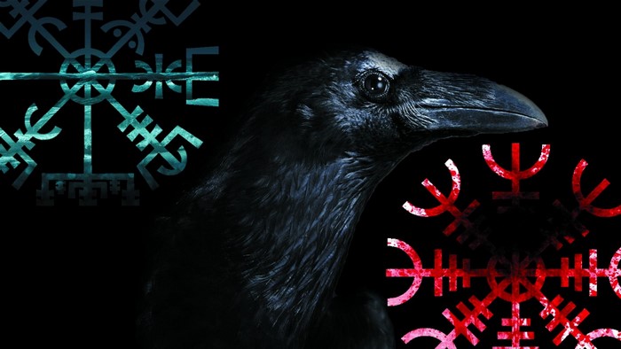 Raven with Viking Runes
