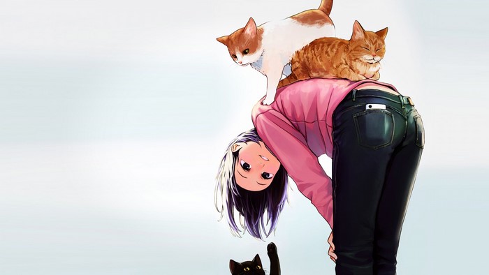 Anime girl with cats on her back