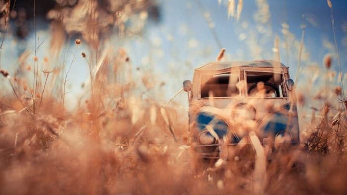 Toy VW Kombi in tall grass