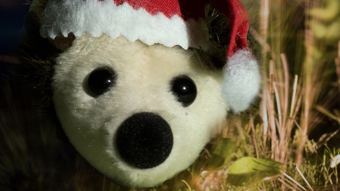 Plush hedgehog wearing a Santa hat