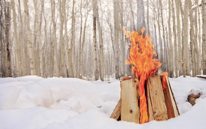 Campfire burning in a snowy forest