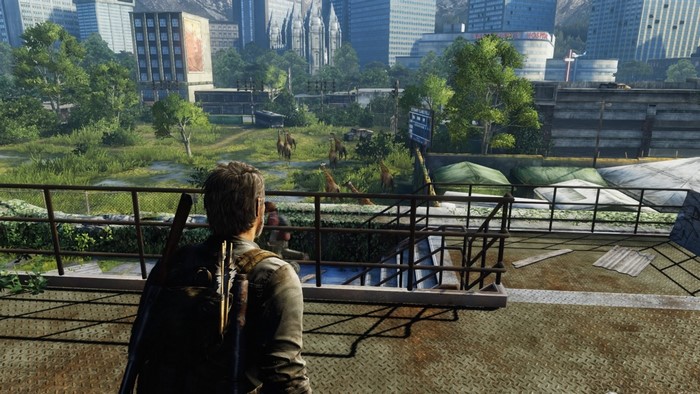 Joel from The Last of Us in an urban area with giraffes