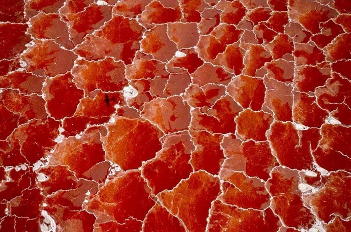 Red salt lake in Tanzania