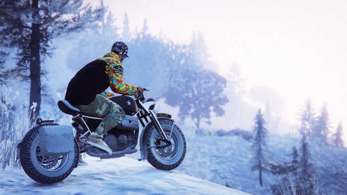 Motorcyclist in winter landscape from Grand Theft Auto V