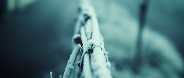Close-up of frozen rope with frost and ice