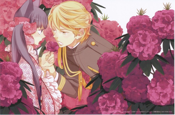 Otome Youkai Zakuro illustration of Zakuro and Agemaki Kei