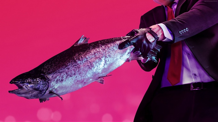 Agent 47 holding a salmon in Hitman 2