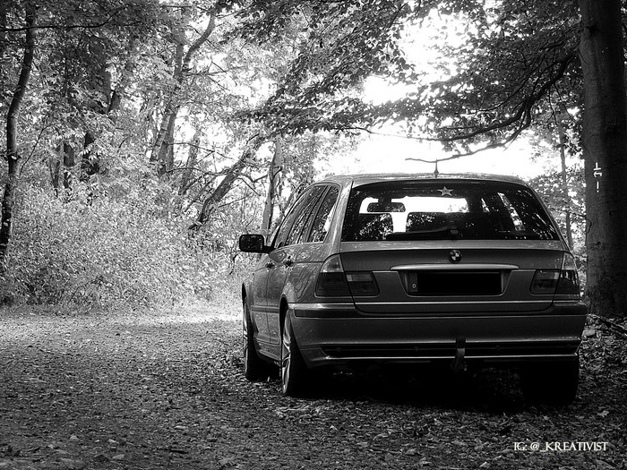 BMW E46 station wagon parked on a forest road