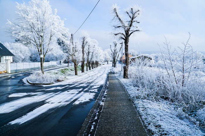 Frosty trees line a snowy road in winter