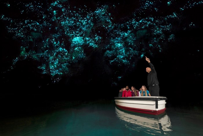 People on a boat tour in a cave with glowworms