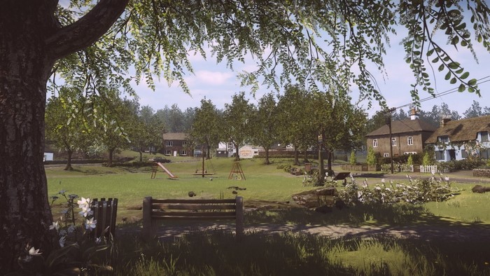 Playground in a rural village with houses and trees