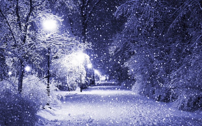Snowy park path at night with streetlights