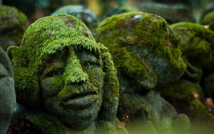 Moss-covered stone sculptures in a forest