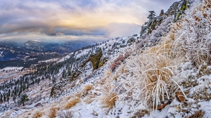 Snow-covered mountain ridge with frosted vegetation and distant valleys