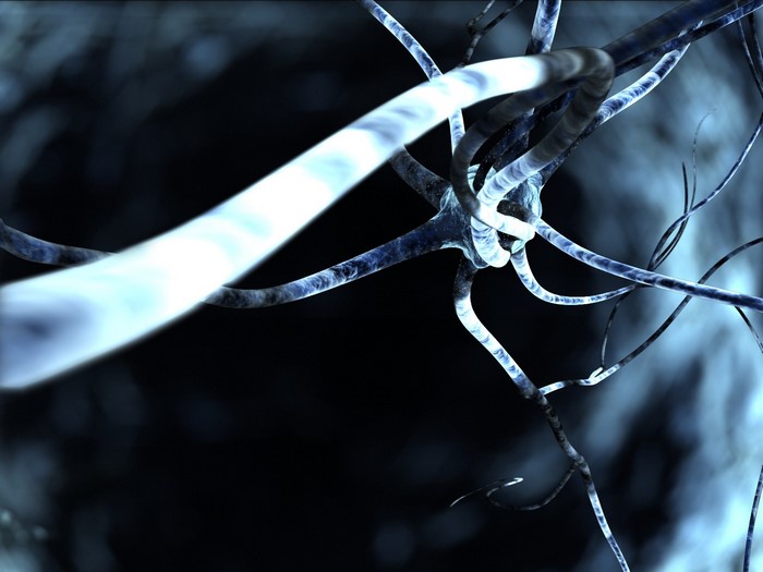 Close up of a neuron with glowing axon
