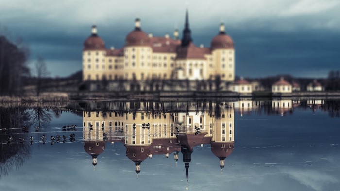 Moritzburg Castle reflected in water with ducks