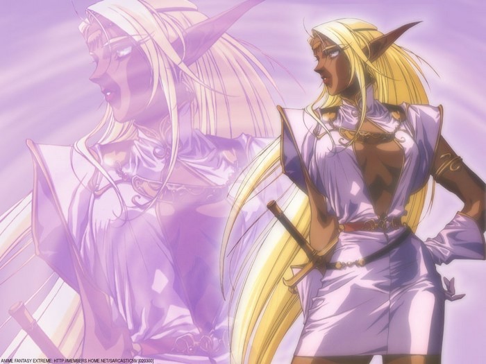 Illustration of a female elf from Record of Lodoss War
