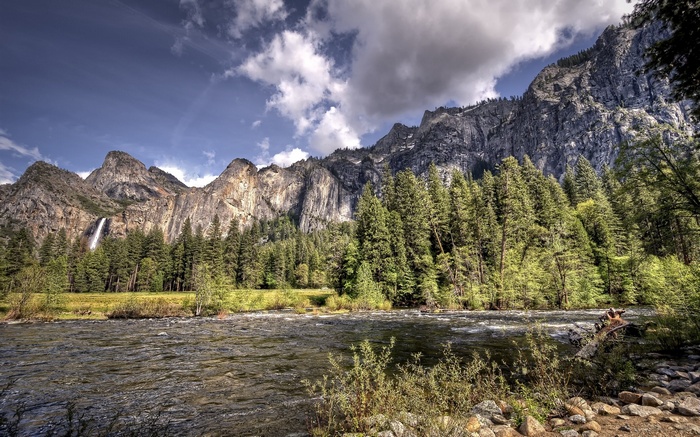 River and mountains with waterfall and pine trees