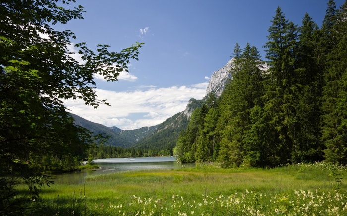 Lake and mountains with pine forest and meadow