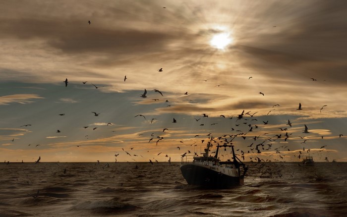 Fishing boat surrounded by seagulls at sunset over the sea