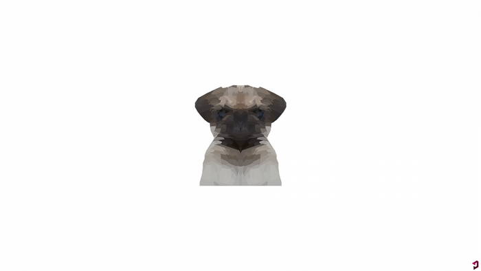 Low poly pug puppy portrait