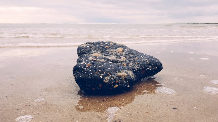 A dark rock with shells on a sandy beach by the sea