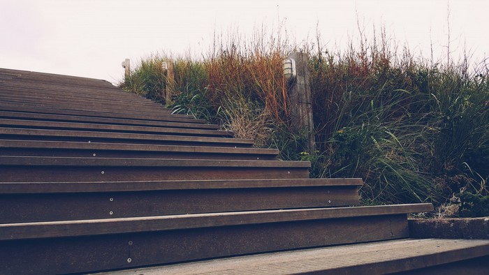 Wooden stairs with outdoor lighting and tall grass