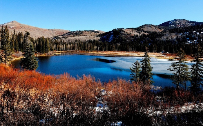Lake surrounded by trees and mountains in autumn