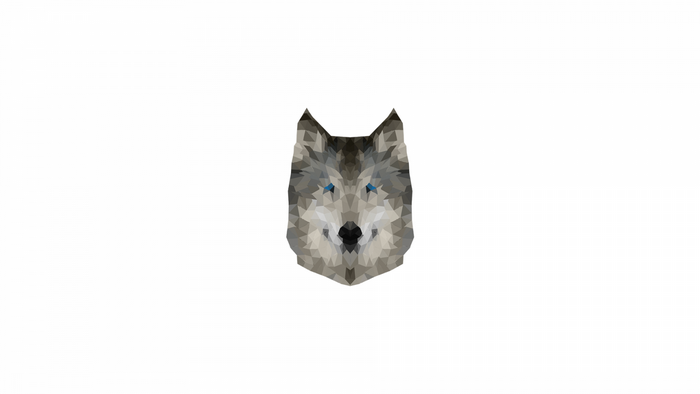 Low poly wolf head illustration