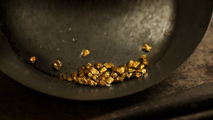 Gold nuggets in a panning dish