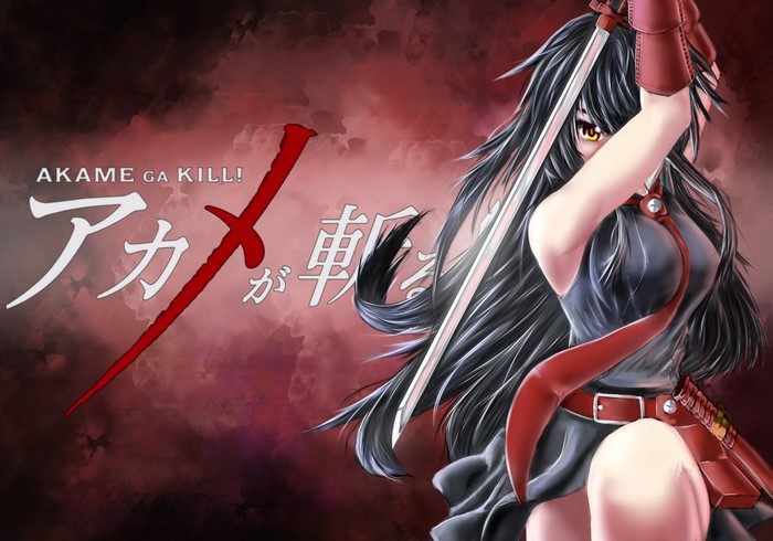 Akame from Akame ga Kill! with sword