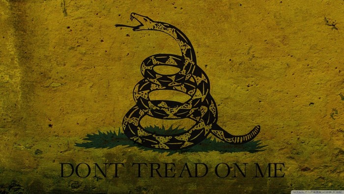 Gadsden Flag with "Don't Tread on Me"
