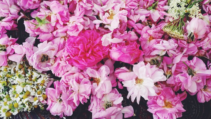 Pink roses and chamomile flowers